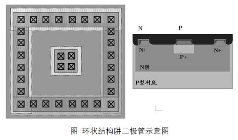 环状结构阱二极管示意图